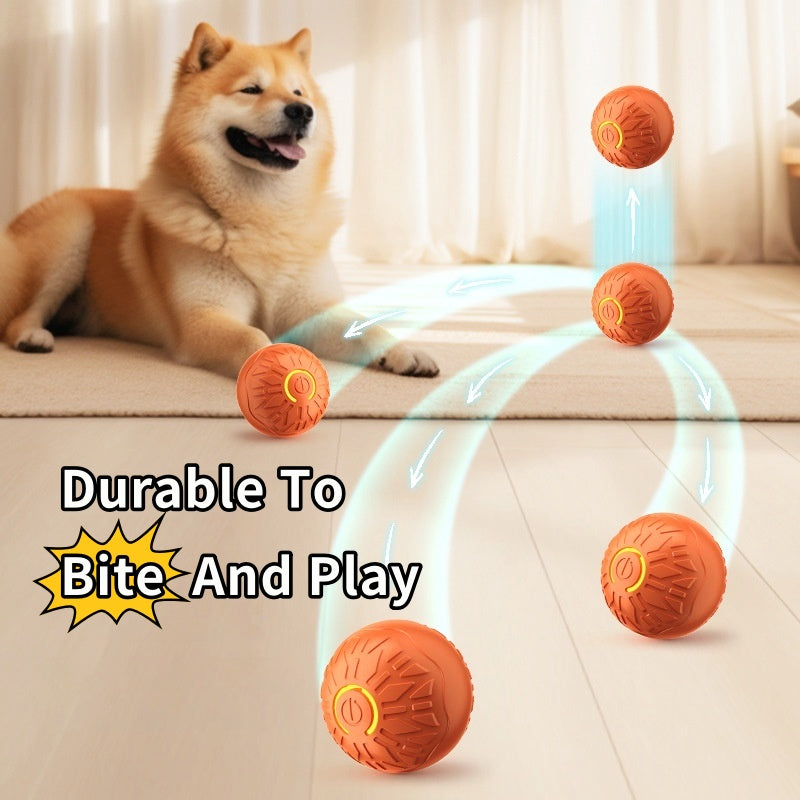 PawBloom™ PawPulse