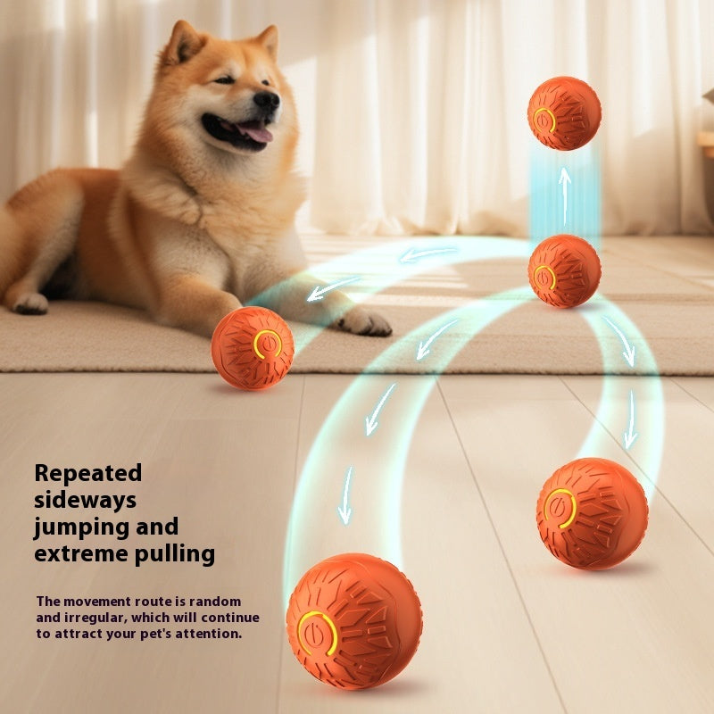 PawBloom™ PawPulse